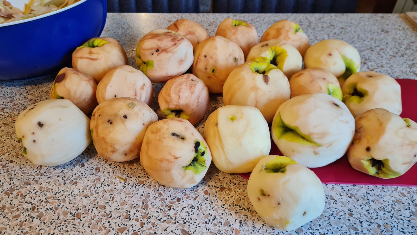 IMG-4267f4408c202a13ea0df0a0b58b8f23-V