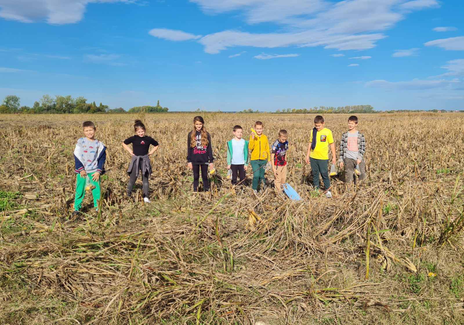 IMG-7b86272f6c734736b8a0f1a813345754-V