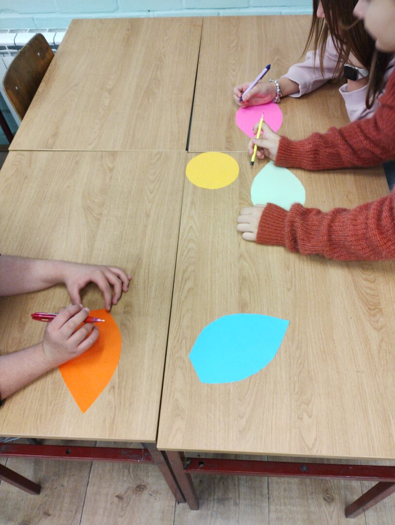 IMG_20241113_093156807