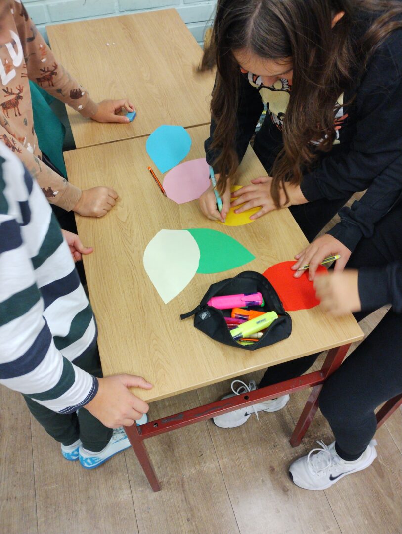 IMG_20241113_093207177