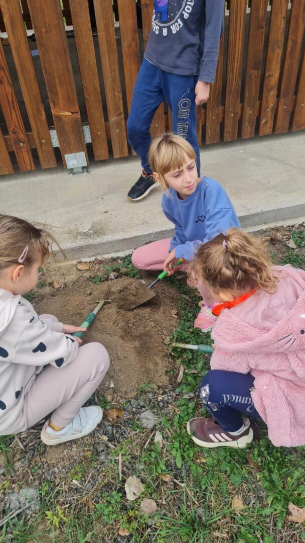 IMG-8fa336f4d36becdab9a5b28d51913e74-V