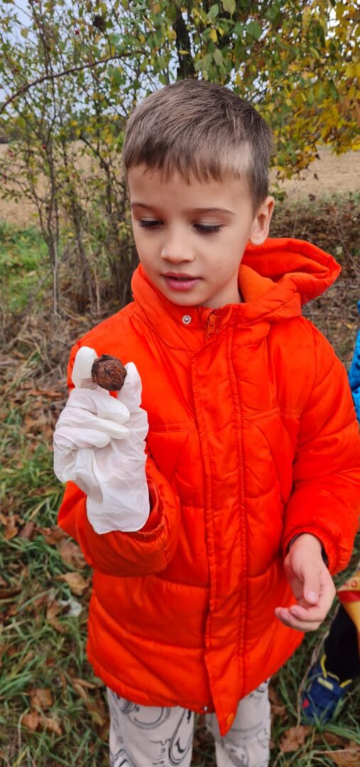 IMG-aeadb33afc73990f641afe6bed2d51b5-V