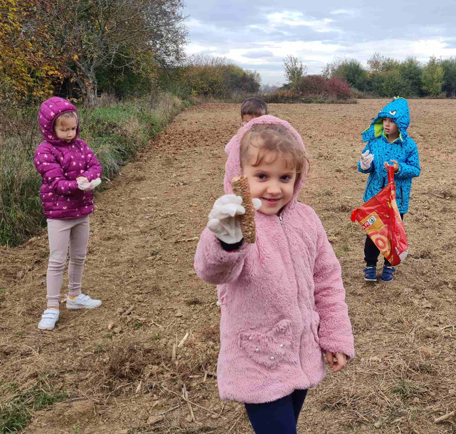 IMG-d7cc72db436b62670908a961bd07a64f-V