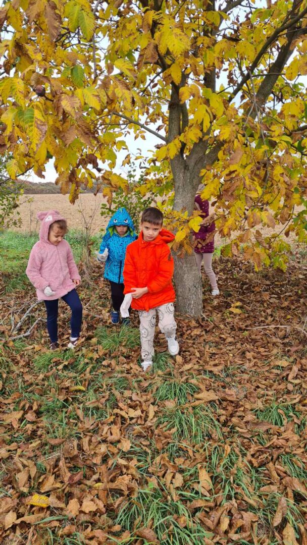 IMG-e1dd47b34883098346f89edc5064e5aa-V