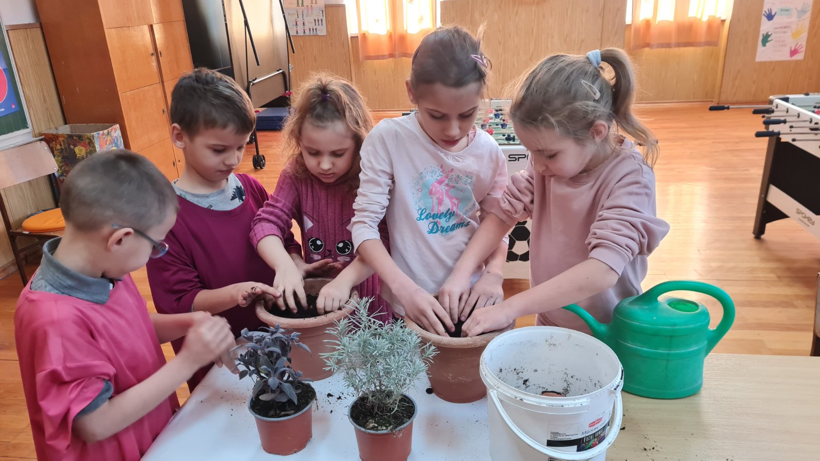 Dan ruzicastih majica Habjanovci 2026 (5)