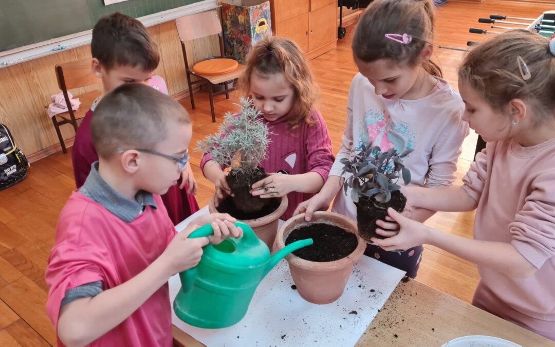 Dan ružičastih majica u Habjanovcima