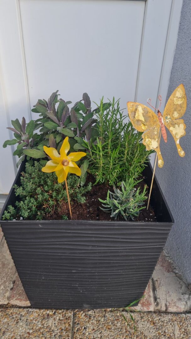 Dan planeta Zemlje - PŠ Habjanovci (18)