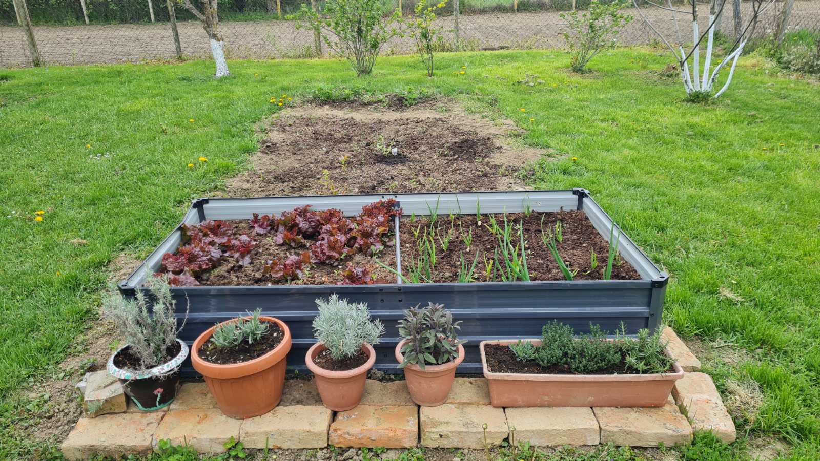 Dan planeta Zemlje - PŠ Habjanovci (23)