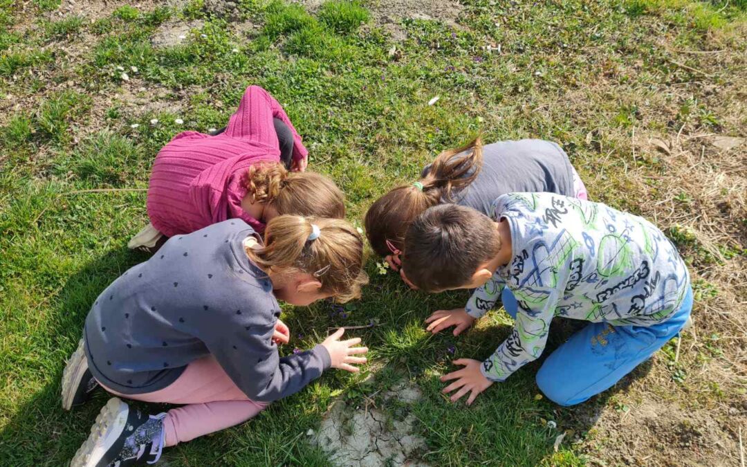 Dan planeta Zemlje – PŠ Habjanovci