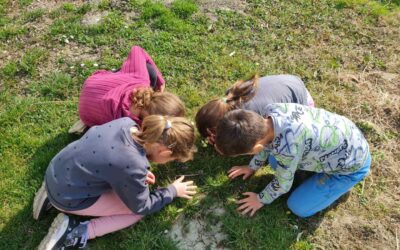 Dan planeta Zemlje – PŠ Habjanovci