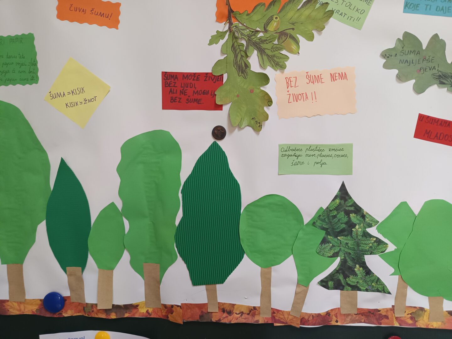 Dan planeta Zemlje - PŠ Habjanovci (4)