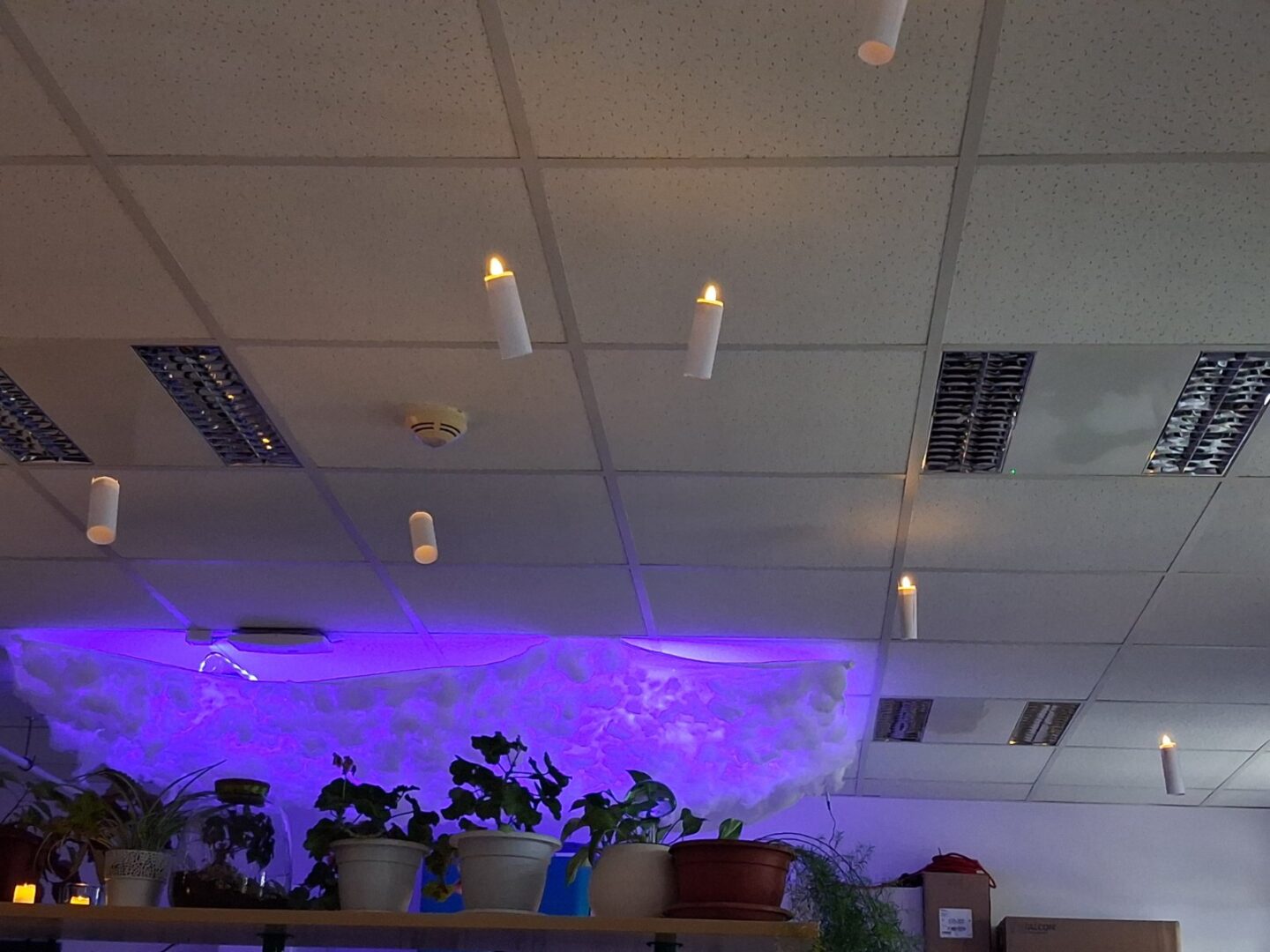 Odjel za biologiju PŠ Cret (10)