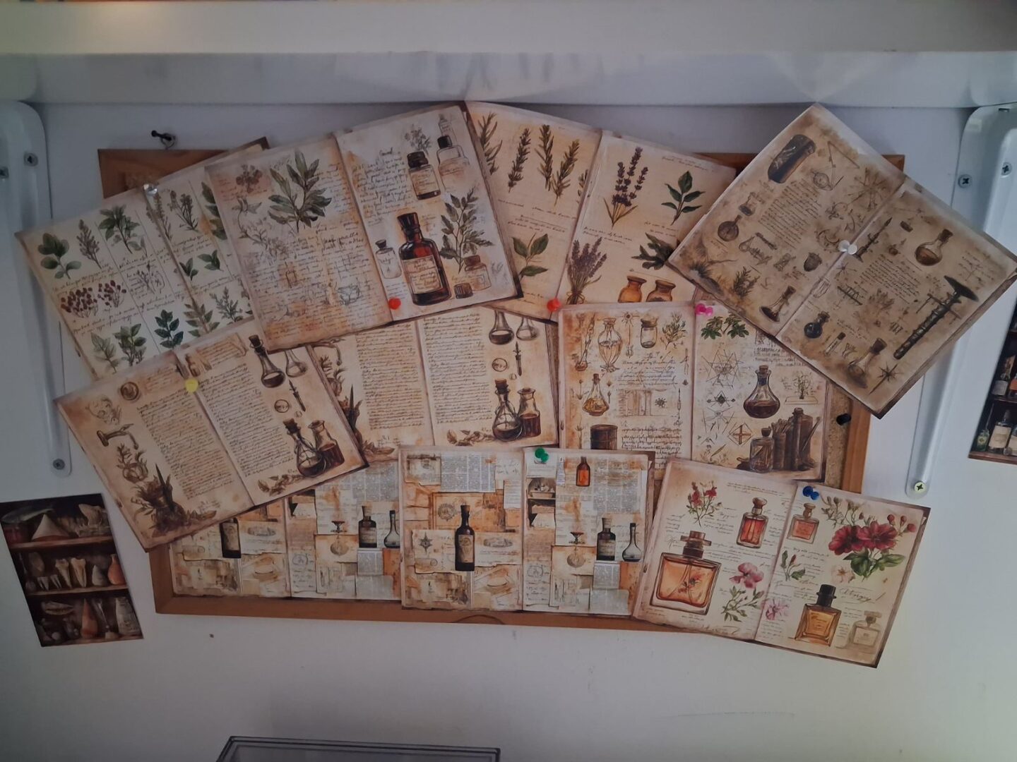 Odjel za biologiju PŠ Cret (9)